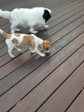 Enlarge photo 9