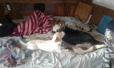 Enlarge photo 13