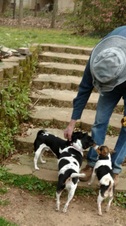 Enlarge photo 3