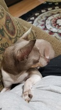 Enlarge photo 2