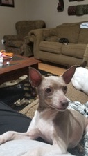 Enlarge photo 1