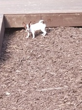 Enlarge photo 5