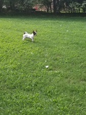 Enlarge photo 3