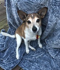Roscoe