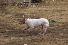 Enlarge photo 11