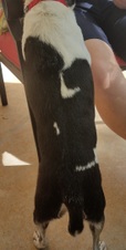 Enlarge photo 4