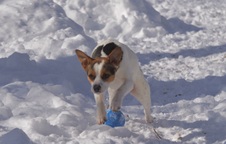 Enlarge photo 14