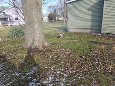 Enlarge photo 18