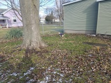 Enlarge photo 19