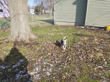 Enlarge photo 21