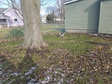 Enlarge photo 23