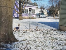 Enlarge photo 28