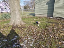 Enlarge photo 25