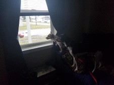 Enlarge photo 10