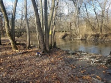 Enlarge photo 30