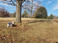 Enlarge photo 32