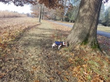 Enlarge photo 35