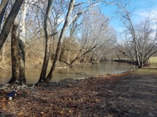 Enlarge photo 38