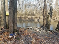 Enlarge photo 39