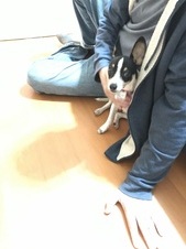 Enlarge photo 8
