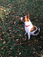 Enlarge photo 9