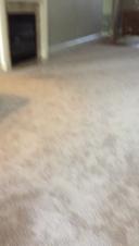 Enlarge MOV 7