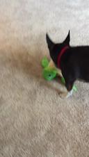 Enlarge MOV 10