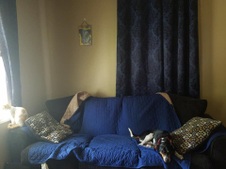 Enlarge photo 36