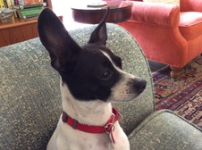 Dixie