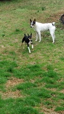 Enlarge photo 4