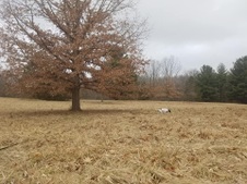 Enlarge photo 35