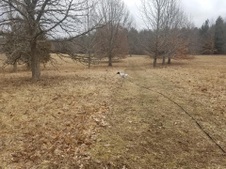 Enlarge photo 36
