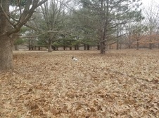 Enlarge photo 37