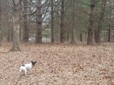 Enlarge photo 38