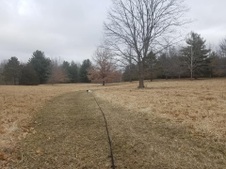 Enlarge photo 39