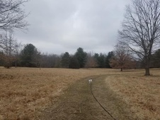 Enlarge photo 44