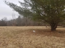 Enlarge photo 47