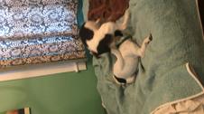 Enlarge MOV 22