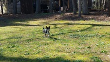 Enlarge photo 6