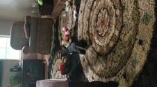 Enlarge MPEG4 20