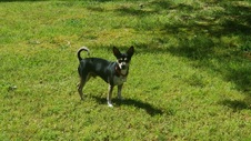 Enlarge photo 16