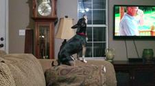 Enlarge MPEG4 19