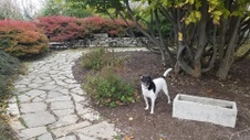 Enlarge photo 11