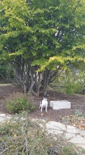 Enlarge photo 13