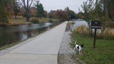 Enlarge photo 16