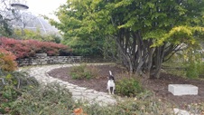 Enlarge photo 19
