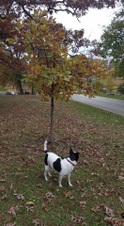 Enlarge photo 22