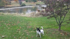 Enlarge photo 23