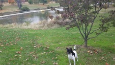 Enlarge photo 26
