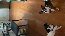 Enlarge MOV 14